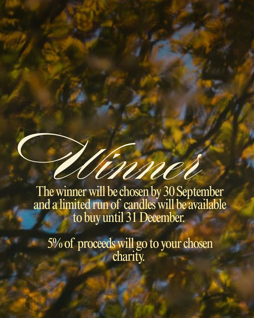 Autumn / Winter Candle Making Workshop Competition The Uncommon